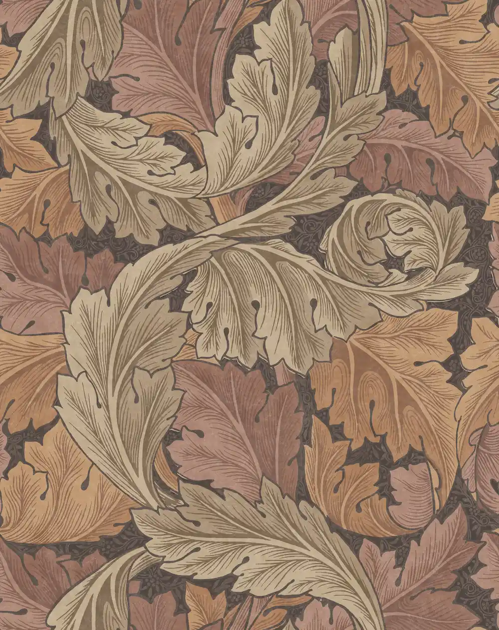Acanthus Acorn