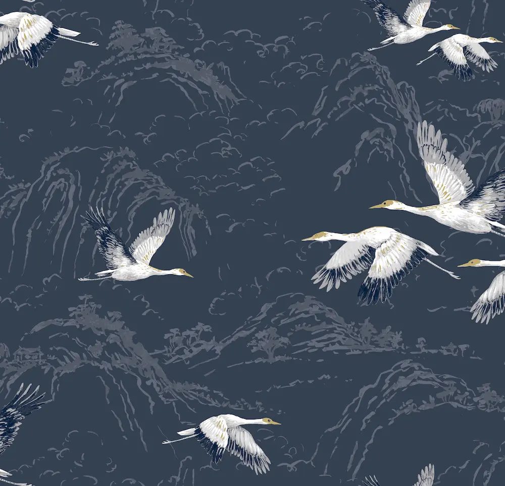 Animalia Midnight