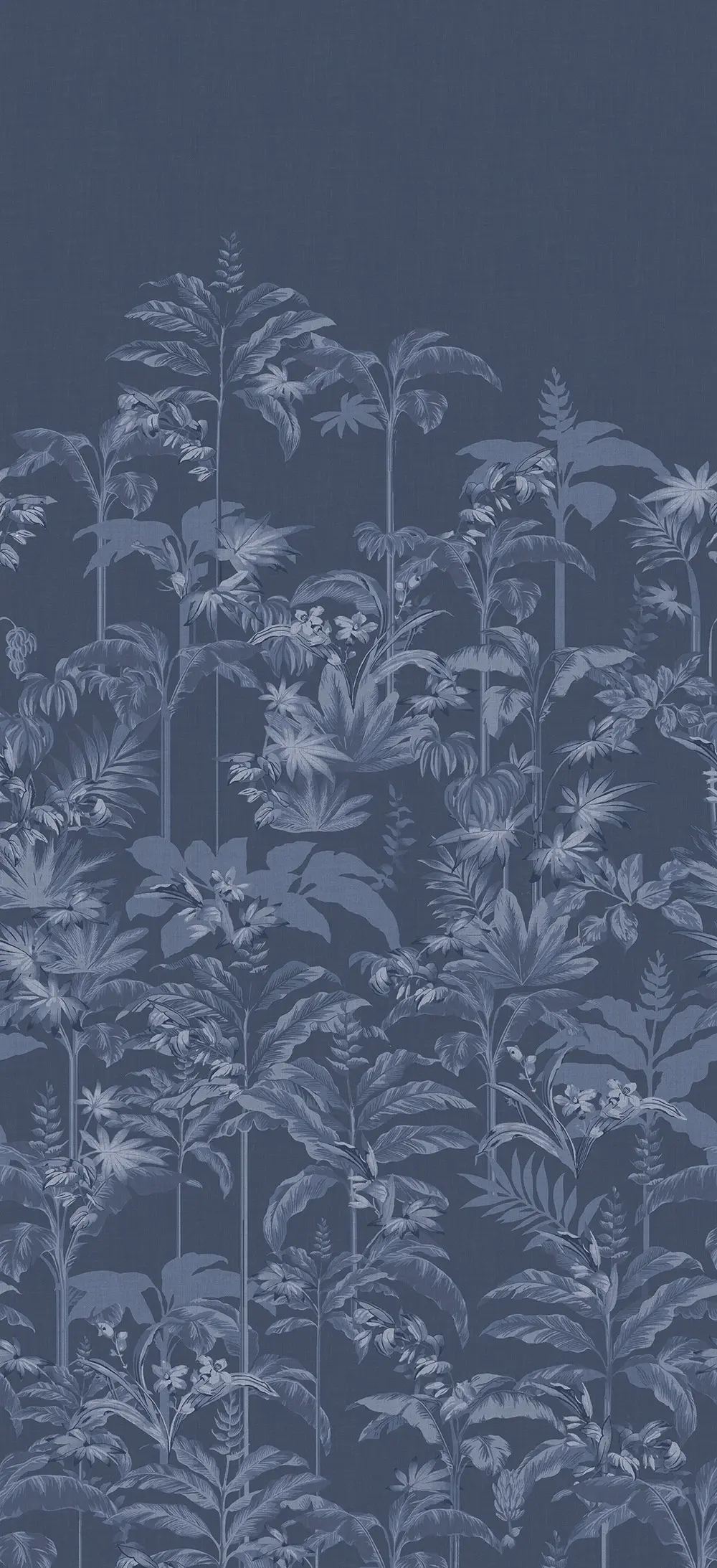 Rhapsody Navy